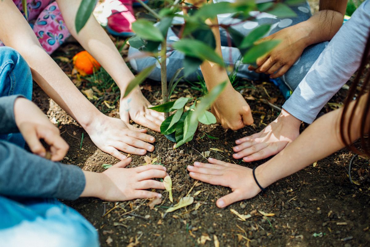 Employees celebrating earth day with each other as an office engagement programme