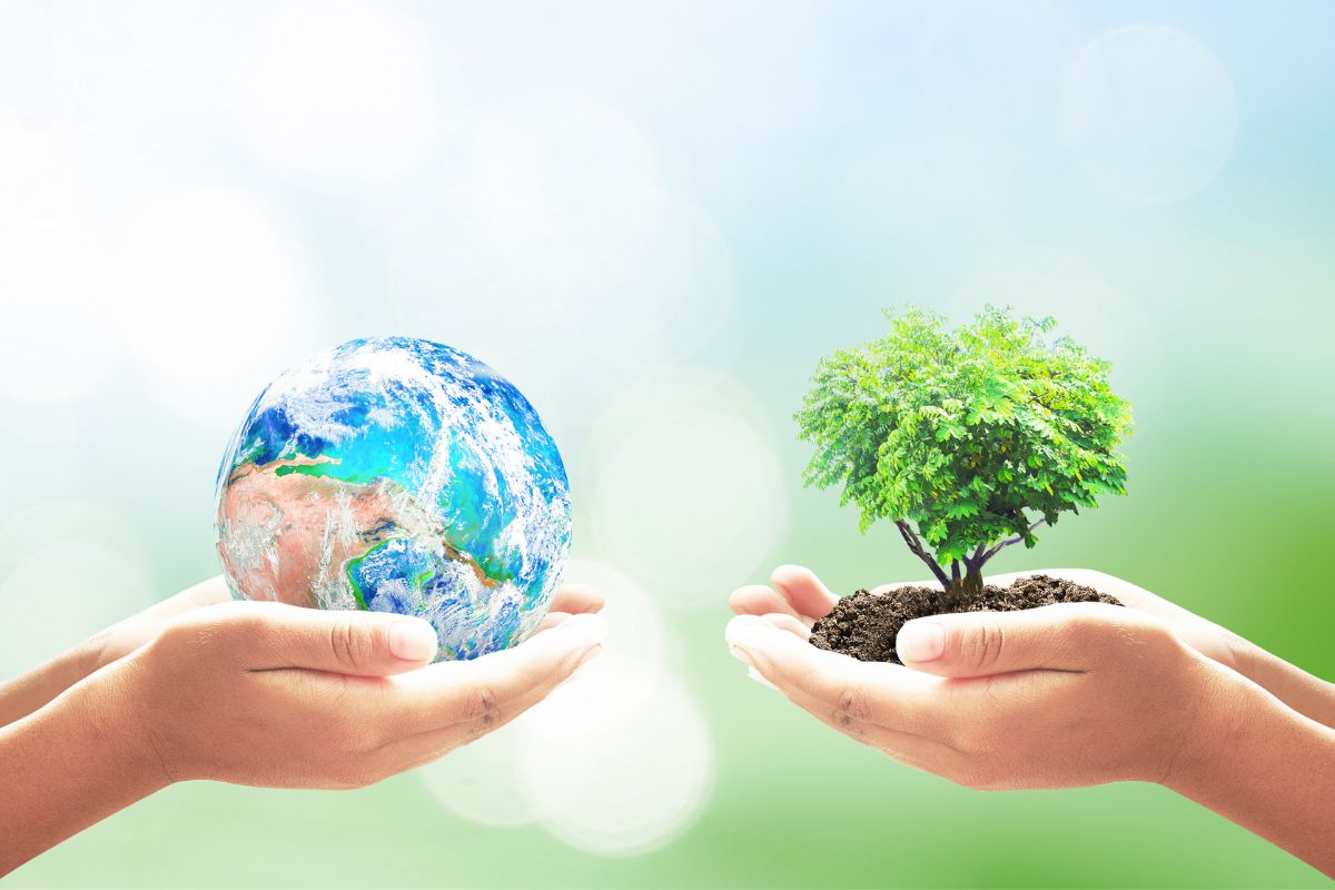 Hands holding earth and tree to measure impact of polyester on environment