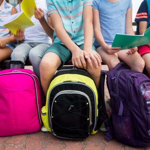 A collection of custom backpacks of children shown in the image