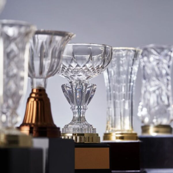 A collection of custom crystal award kept together