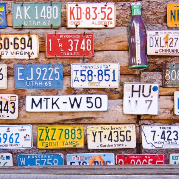 A collection of custom license plates kept together