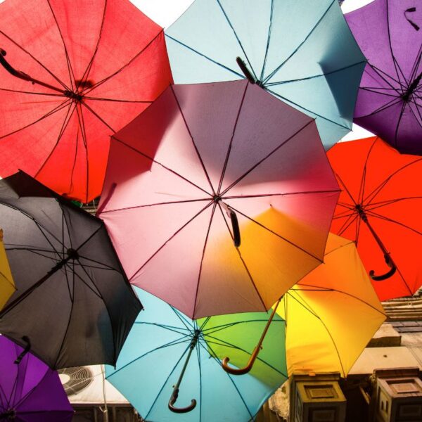 Different custom Umbrella shown in the image