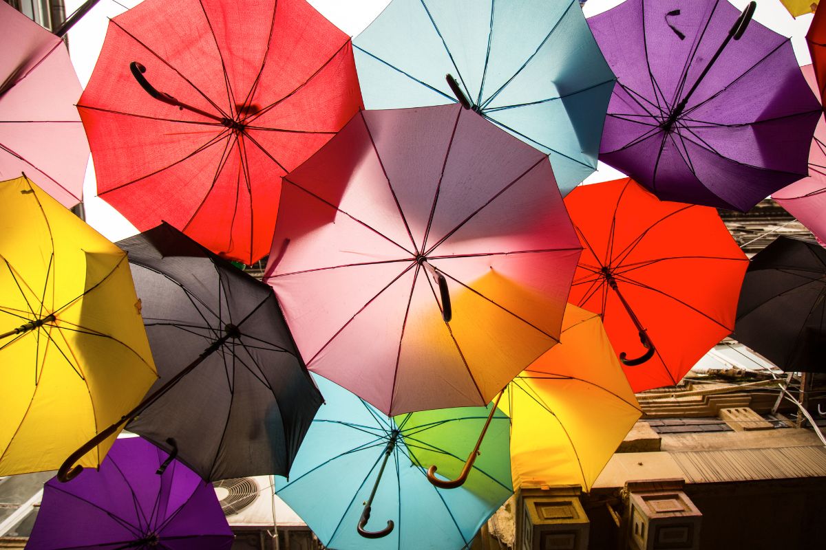 Different custom Umbrella shown in the image